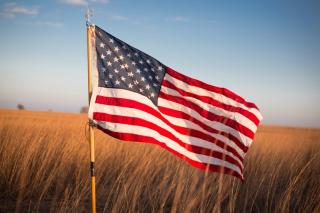 Flag in Wheat Field